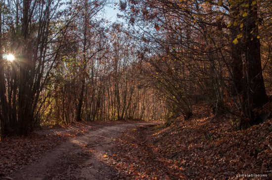 escursione Velletri e castello di Lariano